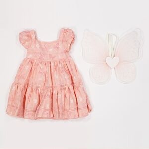 Shabby Chic Toddler Girl Pink Butterfly Dress with Wings Size 4t